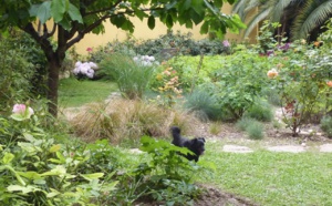 Conseils pour visiter la Suisse