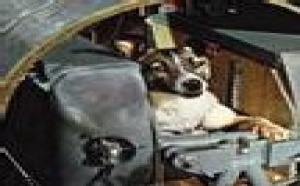 EditoWeb: bloc notes des news politiques du jour