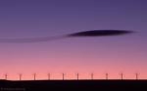 Editoweb de l'insolite: les Japonais, les soucoupes volantes et autres actus