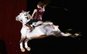 Hôtel Régina Avignon: Promo hégergement spécial Festival équestre 'Cheval Passion'
