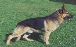 Sécurité et gardiennage en Provence BDR