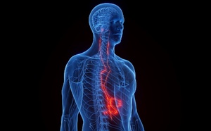 Pourquoi tout le monde parle du Nerf Vague ? Le Secret Santé oublié