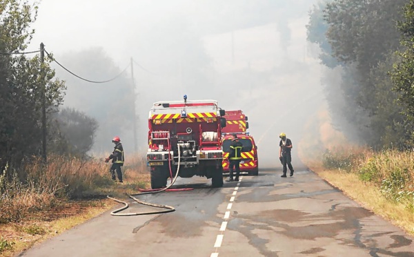 Incendie : la forêt de Brocéliande en proie aux flammes