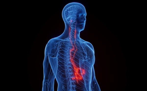 Pourquoi tout le monde parle du Nerf Vague ? Le Secret Santé oublié