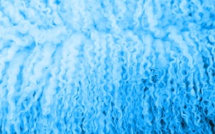 Santé: nos données partagées