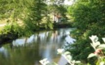 Agent Immobilier à Saint-Médard-en-Jalles 