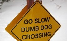 L'affaire Julien Dray embarrasse le PS