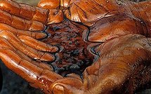 Actus monde: 25.000 milliards de dollars en fumée