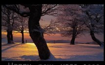 editoweb: happy new year and other news