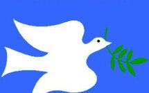 GAZA: le bilan de 'plomb durci' selon Guysen