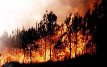 UK &amp; USA Today Editoweb 8 january 2009