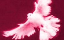 Déclaration contre l'instrumentalisation communautaire