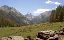 Les Hautes Alpes pour vos vacances d'été