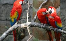 UK &amp; USA Today Editoweb 14 April 2009