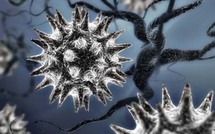 Santé: le point sur la grippe A (H1N1)