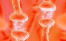 Santé: news du 16/06/09