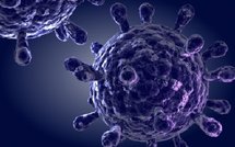 Santé: revue de presse du 25 juin