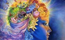 Environement: revue de presse du 1er juillet 2009