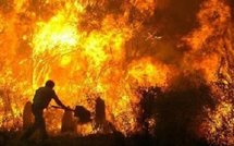 Environnements: revue de presse du 07/08/09