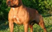 Faits divers: revue de presse du 25/08/09