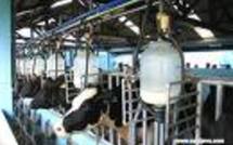 L'UE débloque 280 millions d'euros pour la filière lait
