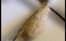 España Editoweb 27 Noviembre 2009