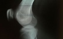 España Editoweb 29 Noviembre 2009