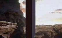 España Editoweb 12 Deciembre 2009