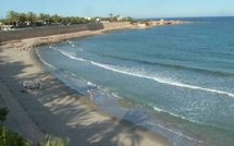 España Editoweb 14 Deciembre 2009