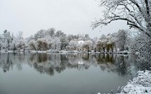 UK &amp; USA Today Editoweb 21 november 2009