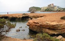 España Editoweb 29 Deciembre 2009