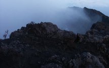 Monde: Les USA resserrent les contrôles sur les passagers de 14 pays et autres news