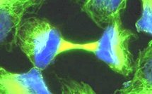 France: Nouvelle taxe carbonne et autres news