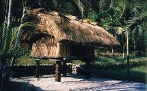 España Editoweb noticias 15 Enero 2010