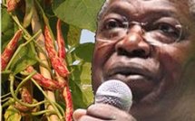 Togo/présidentielle: Kofi Yamgnane vers un retour raté?