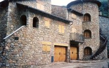 España Editoweb noticias 17 Enero 2010