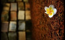 France: loi de bioéthique et autres news