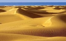 España Editoweb noticias 31 Enero 2010