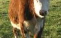 L'actualité du 09/09/2005