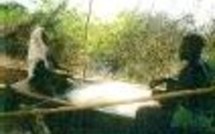 L'actualité du 15/09/05