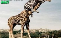 España Editoweb noticias 17 Mayo 2010