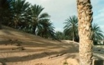 L'actualité du 20/09/05