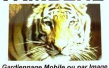 Télésurveillance sécurité gardiennage Sénégal