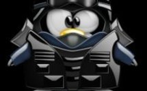 France: l' intervention de Woert