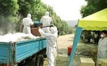 L'actualité du 04/10/05