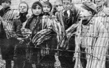 Quarante jeunes Européens meurent chaque jour