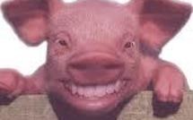 Laurent Wauquiez adoubé