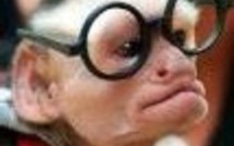 L'actualité du 21/10/05