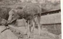 Miranda Kerr et Orlando Bloom