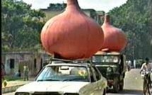 L'actualité du 22/10/05